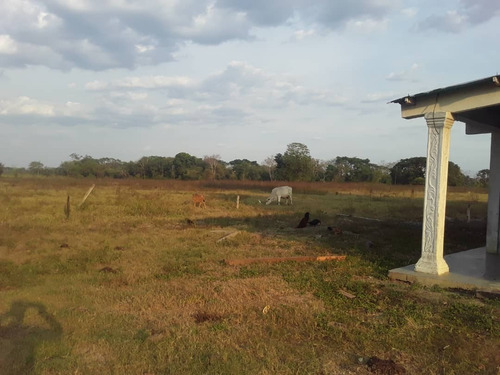 Imagen 3 de 7 de Finca En Lagunita Cod. Indif-039
