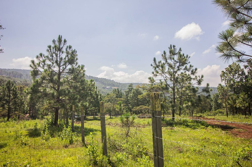 Terreno En Venta En Real De Encinos, Tapalpa, Jalisco.