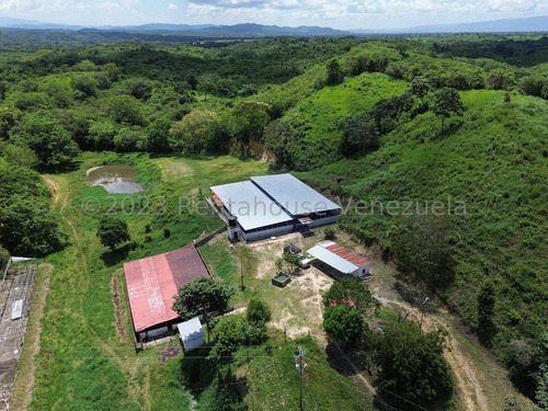 Carlos Colmenarez Vende Finca 28hec (todas Empastadas) Cercas Perimetrales 02 Cochineras; 01 Cochinera Para 150 Madres Y Capacidad De 800 Animales De Engorde 01 Cochinera Con Capacidad De 400 Animale