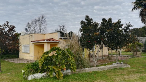 Chacra. San Pedro. Colonia.