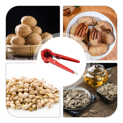 Galleta De Nueces Galletas De Nueces Para Todos Los Frutos S