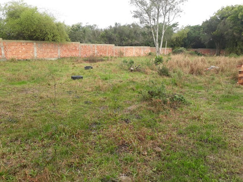 Imagem 1 de 7 de Terreno - Te00036 - 32893250