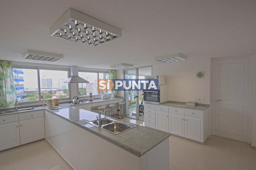 Imagen 2 de 30 de Apartamento En Venta - Brava