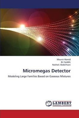 Libro Micromegas Detector - Mounir Hamid