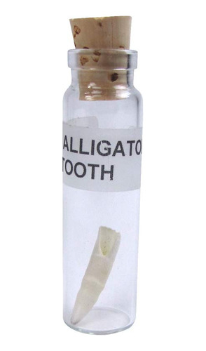 Treasure Gurus Genuine Alligator Tooth In Bottle Real G...