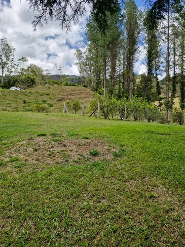 Lote En Venta Con Bosque Y Dos Explanaciones