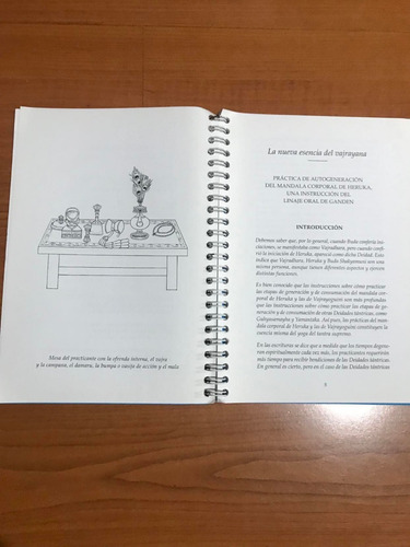 La Nueva Esencia Del Vajrayana Gueshe Kelsang G. Rimpoché (Usado)