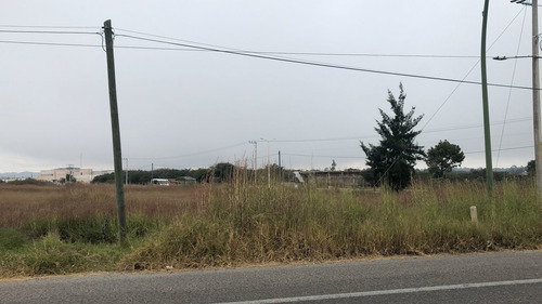 Terreno En Venta En Comitan