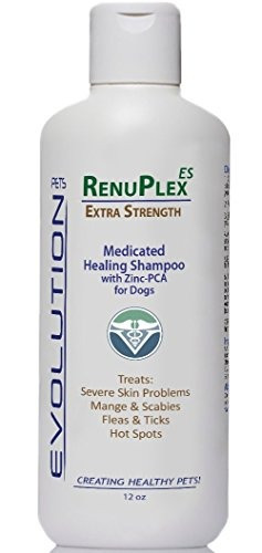 Medicated Dog Mange Shampoo Antifungal Renuplex Extra Streng