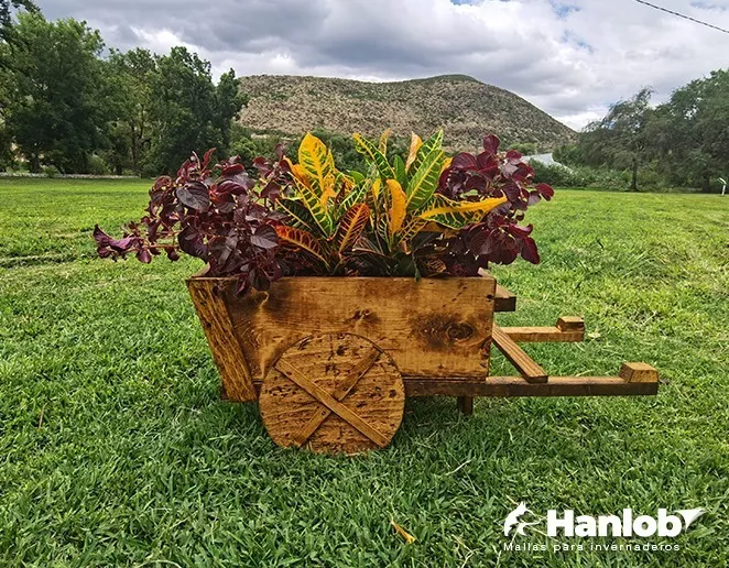 Primera imagen para búsqueda de jardineras