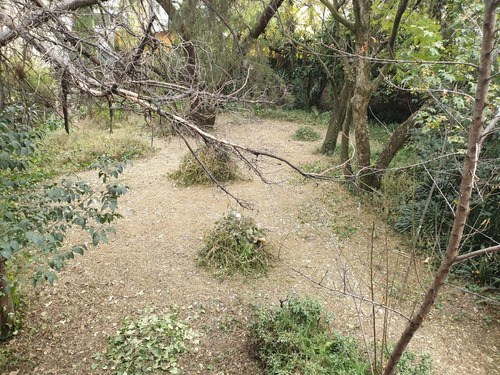 Venta De Terreno En Las Aguilas, Alcaldía Alvaro Obregón