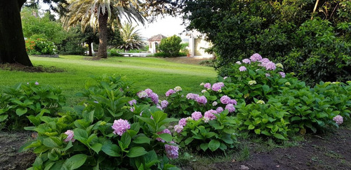 Imagen 5 de 30 de Campo - Cordoba Capital