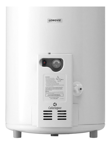 Imagen 2 de 4 de Termotanque multigas Longvie Convencional T3050PF blanco 50L