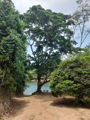 Imagem 3 de 14 de Venda De Terreno No Corumba Iv ( Corumba 4)
