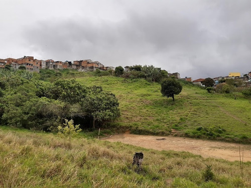 Imagem 10 de 19 de Terreno À Venda, Jardim Maria Cecília - Ferraz De Vasconcelos/sp - 2071