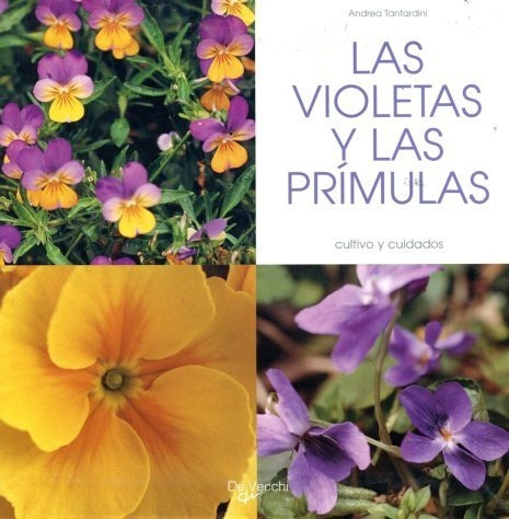 Las Violetas Y Las Primulas . Cultivo Y Cuidados