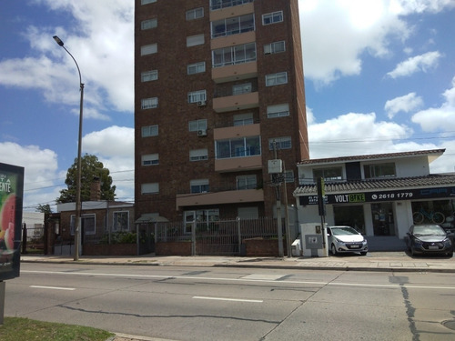 Alquiler Apartamento 2 Dormitorios Malvin