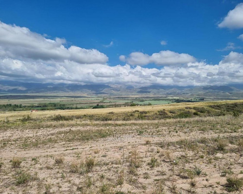 Terreno En Venta La Carrera - San José - Tupungato - Mza