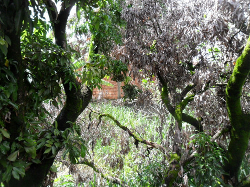Imagem 8 de 25 de Lote Para Comprar No Trevo Em Belo Horizonte/mg - 13176