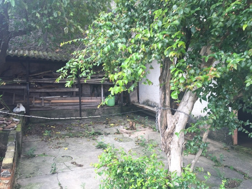 Imagem 8 de 10 de Terreno Para Venda, 0.0 M2, Piqueri - São Paulo - 54