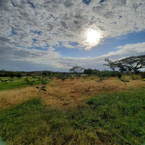 Finca En El Placer, Parroquia Carmen De Cura, Municipio Camatagua Del Estado Aragua. Pfml
