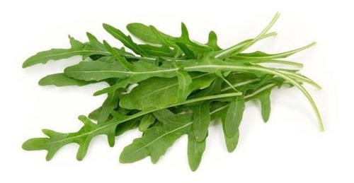 Semillas De Arugula Rucola Rúcula Rúgula 1g Rinde 500 Planta