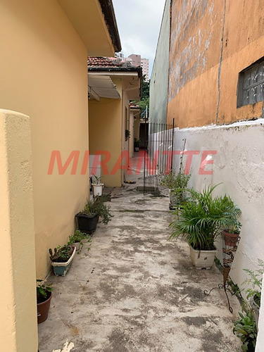 Imagem 2 de 7 de Terreno Em Santa Terezinha - São Paulo, Sp - 337542