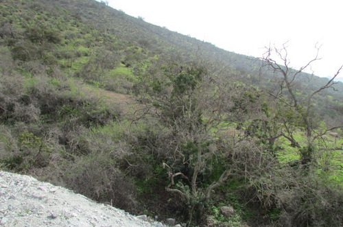 Vende 10 Hectareas, Rol Propio, Geografia Variada, Curacaví
