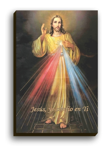 Jesús De La Divina Misericordia.en Lienzo.envío Gratis.12msi