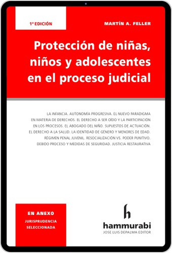 Proteccion De Niñas Niños Adolescentes Proceso Penal Feller