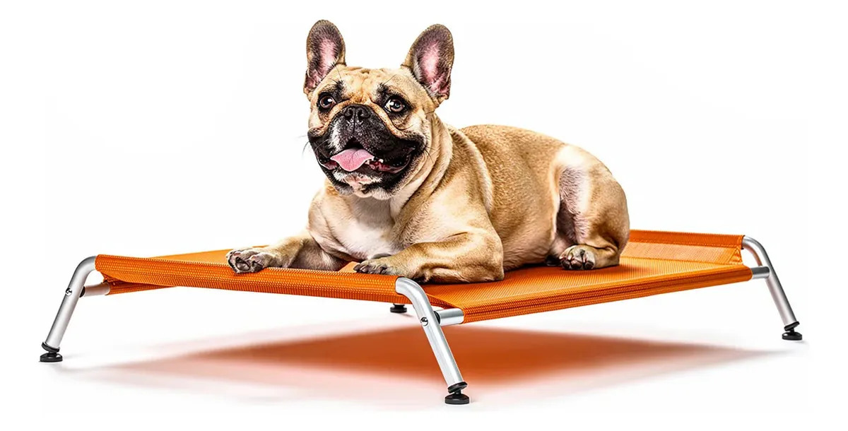 Cama Para Cachorro Médio Pet Suspensa Elevada 75x50 Até 35kg Laranja