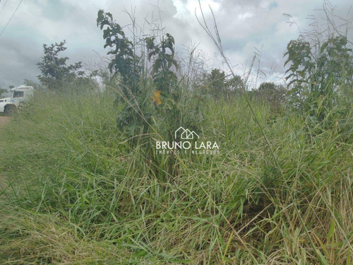 Imagem 10 de 13 de Lote À Venda Em Igarapé - Te0215