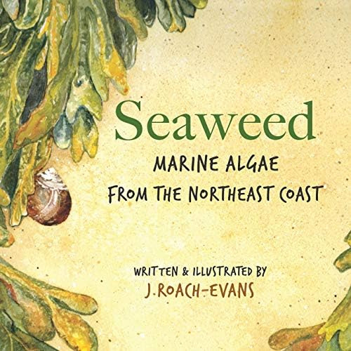 Libro:  Seaweed: Marine Algae From The Northeast Coast