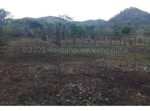Imagen 2 de 8 de Finca Vallecito Carretera Vía San Sebastián De Los Reyes. Codigo 22-14451 Yinett A