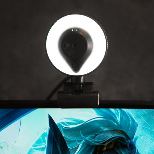 Imagen 3 de 3 de Webcam Cámara Web Full Hd 1080p Luz Micrófono Stream Gamer