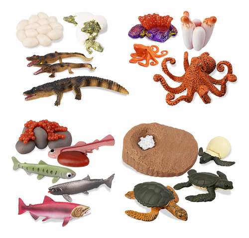 Toymany 17 Figuras De Ciclo De Vida De Animales Marinos De .