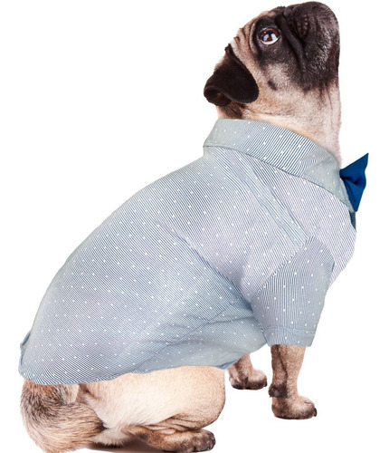 Remeras Camisas Ropa Para Perros Y Gatos Doggys