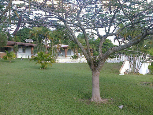 Imagem 10 de 30 de Chácara Com 4 Dormitórios À Venda, 8000 M² Por R$ 1.200.000,00 - Ipiranga - Elias Fausto/sp - Ch0025