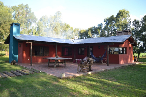 Imagen 1 de 15 de Campo En Gral. Madariaga