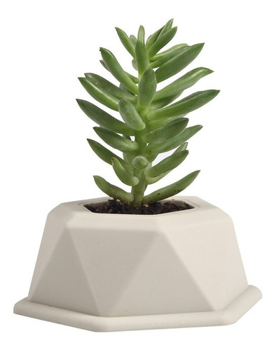Imagen 5 de 5 de Molde Maceta Silicona Plantas Suculentas Jarcstore