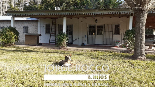 Imagen 11 de 30 de Casa Quinta En Barrio Parque Mendizabal