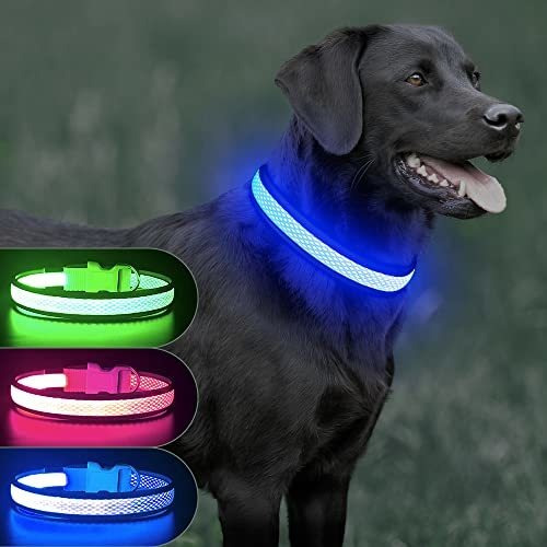 Collar De Perro Iluminado Ezierfy - Collar De Perros 26v92