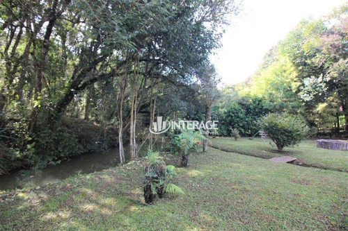 Imagem 7 de 30 de Chácara Com 3 Dormitórios, 3619 M² - Venda Por R$ 1.300.000,00 Ou Aluguel Por R$ 7.000,00/mês - Jardim Viviane - Campo Magro/pr - Ch0018