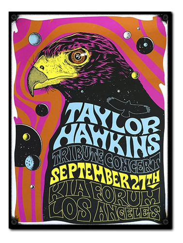 #1518 - Cuadro Decorativo - Taylor Hawkins Foo Fighters Rock
