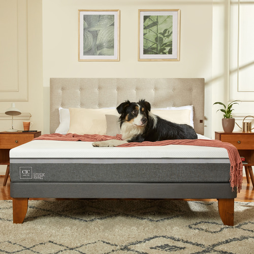 Cama Europea Gris