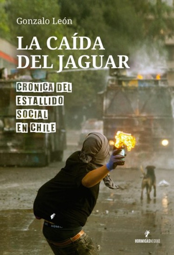 La Caida Del Jaguar   Cronica Del Estallido Social En Chile