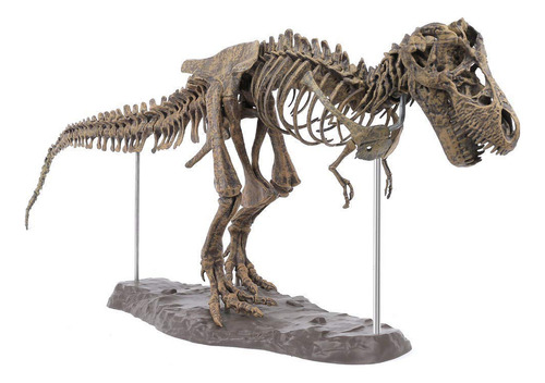 Modelo De Esqueleto De Dinosaurio T-rex 3d Rompecabezas Simu