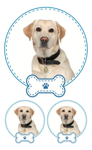 Sticker Mascota Labrador Niño 3 Pza Para Personalizar