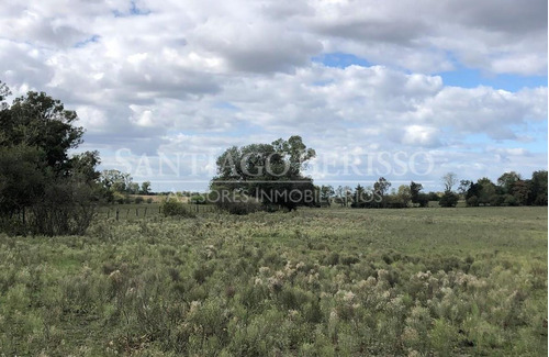 Terreno Campo  En Venta En Exaltación De La Cruz, G.b.a. Zona Norte, Argentina