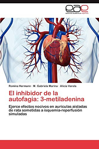 El Inhibidor De La Autofagia: 3-metiladenina